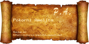Pokorni Amelita névjegykártya